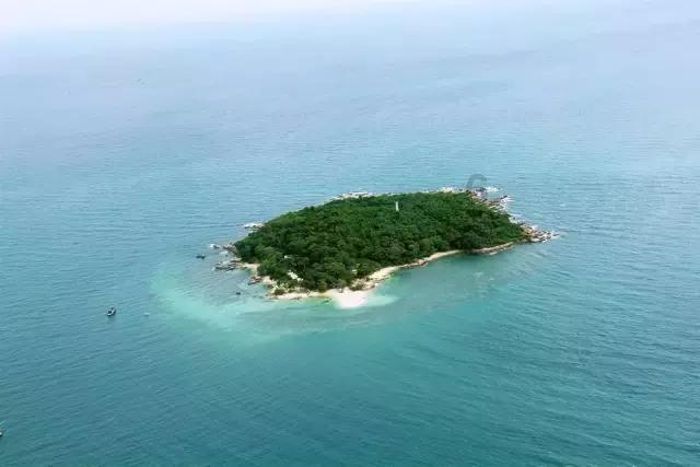 《霍格沃茨之遗》销量已超2400万套