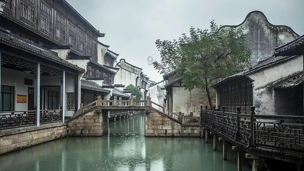 生化危机：浣熊市行动